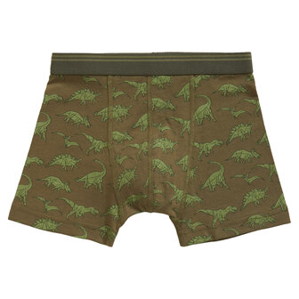 Ten Cate Boys Goodz Shorts 2-Pack Dino Green 50971 | 26723