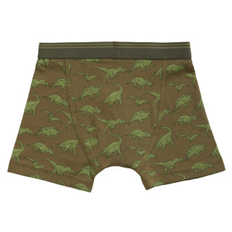 Ten Cate Boys Goodz Shorts 2-Pack Dino Green 50971 | 26723