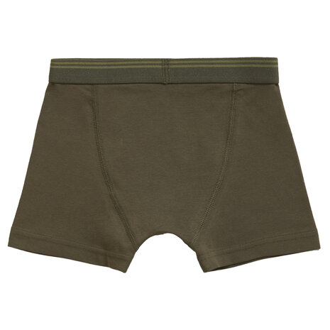 Ten Cate Boys Goodz Shorts 2-Pack Dino Green 50971 | 26723