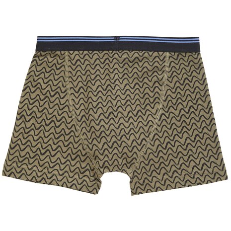 Ten Cate Boys Goodz Shorts 2-Pack Wave Groen 60072-5099 | 28916